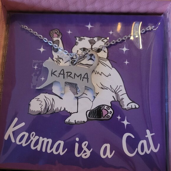 Taylor Swift " Cat Lady" inspired "KARMA" Plush Realistic Cat Gift Basket Bundle - Picture 3 of 6